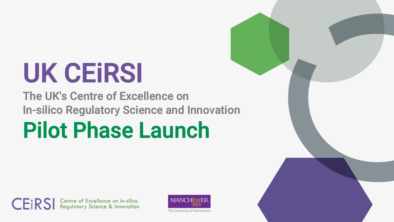 UK CEiRSI Meeting: Internal Launch