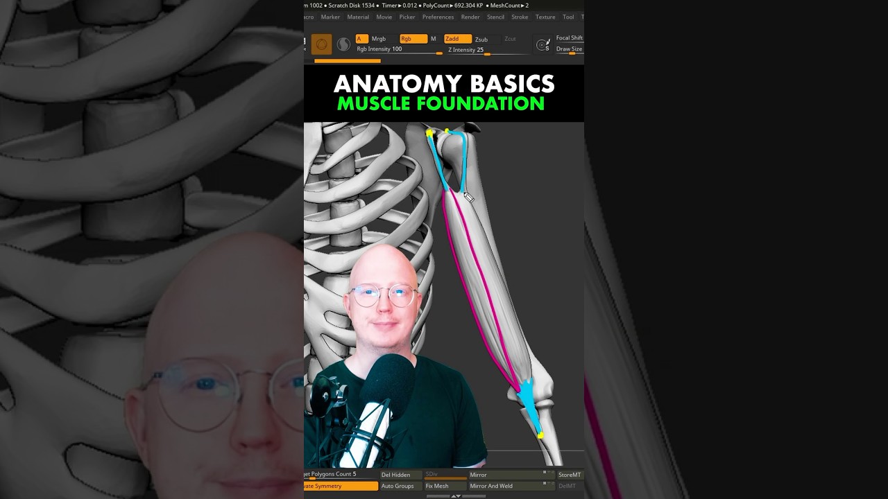 Learn one of the core fundamentals when it comes to muscles and anatomy 