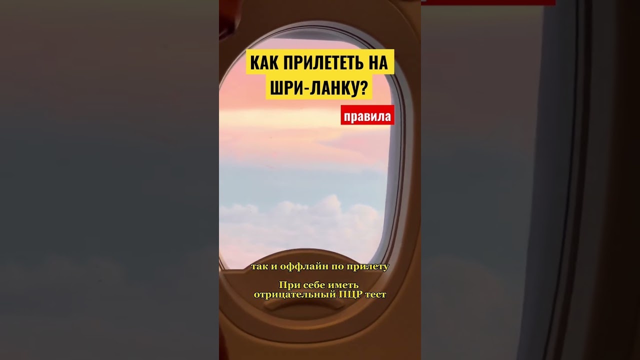 Шри-Ланка - страна открытая для всех! #визы  #шриланка  #отпуск2022 #перелеты