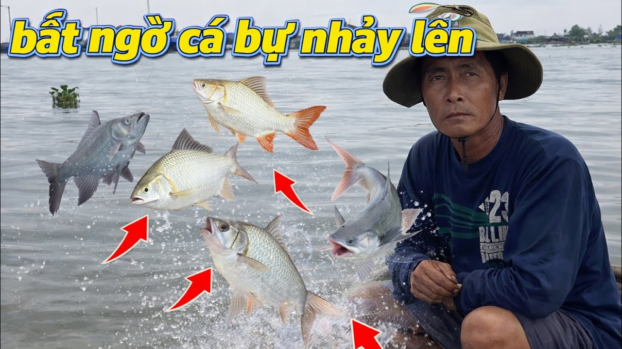 Một Ngày Xúc Cá Và Cá Kết Dô Bầy Cá Bự Quá Đã .!..!