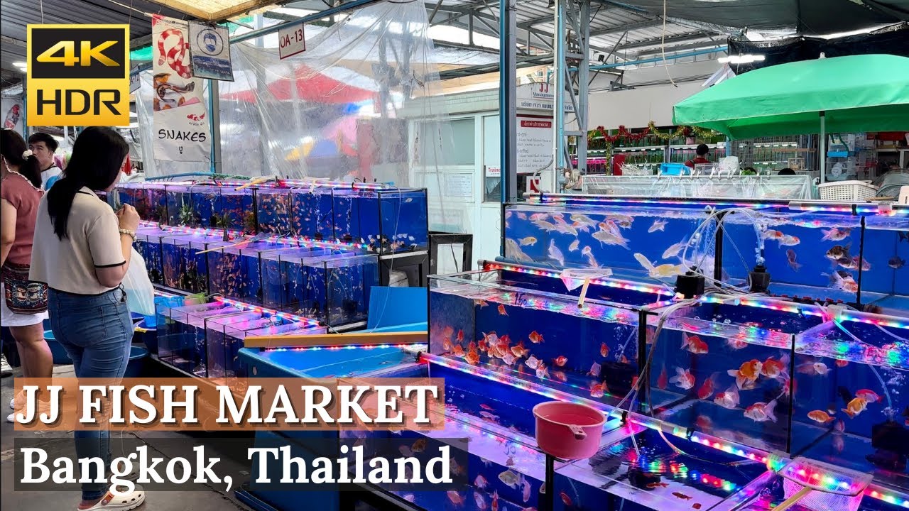 [BANGKOK] Chatuchak Fish Market 