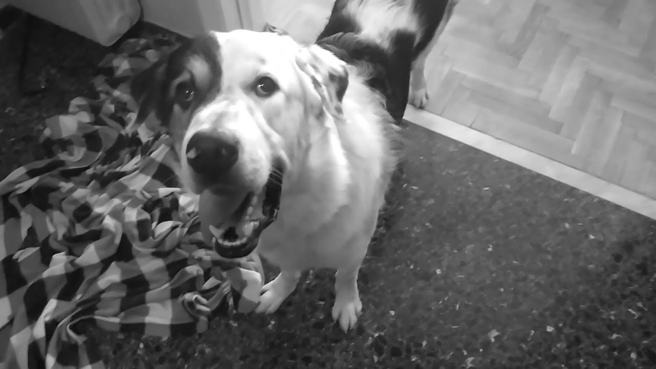 Εγώ κι εσύ μαζί - Ιωάννα Εμμανουήλ feat 