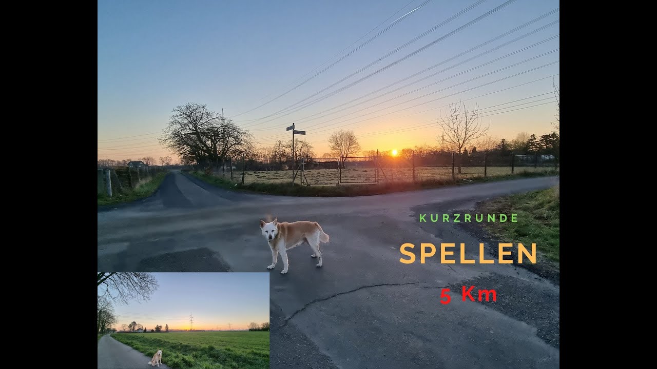Spellen, bei Wesel, 19.03.2022