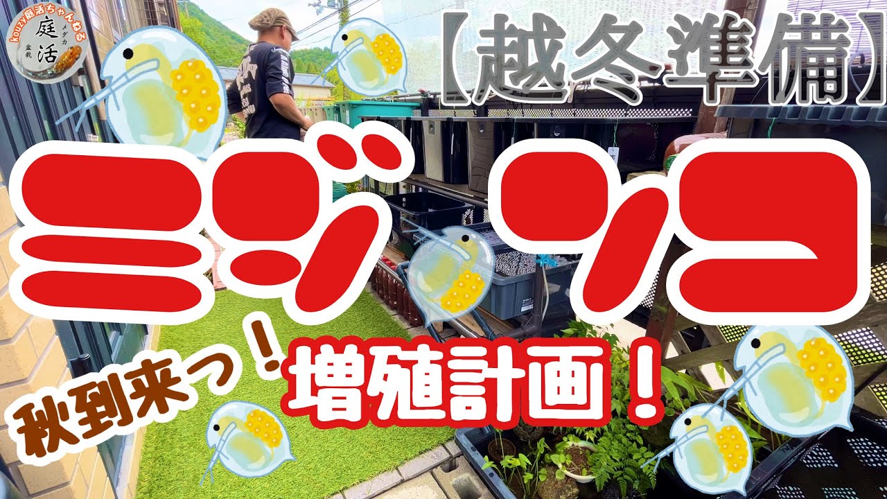 オジサンの庭　2023.10.01