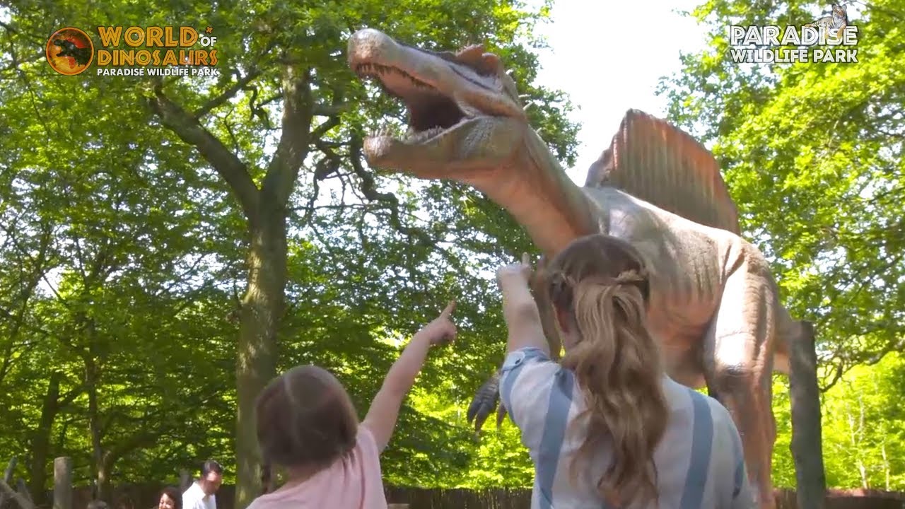 Paradise Wildlife Park Summer 2018