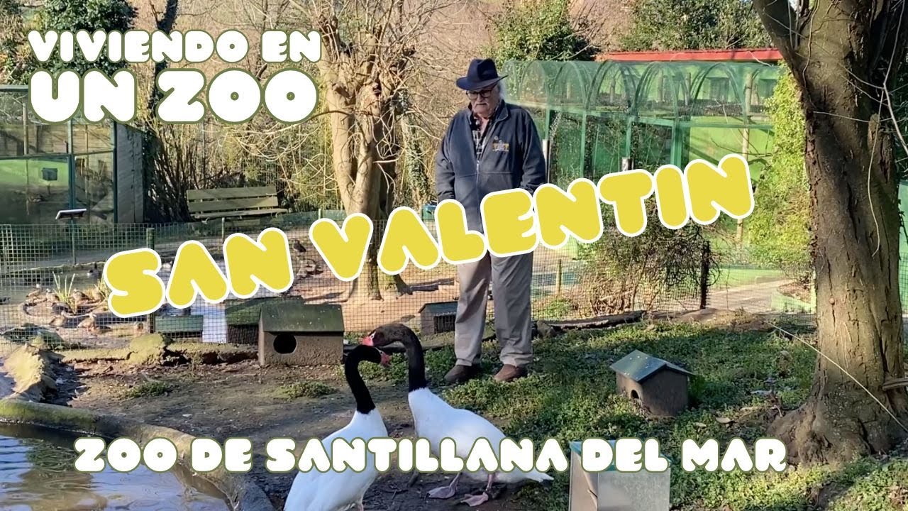 Viviendo en un zoo: San Valentin | Zoo de Santillana
