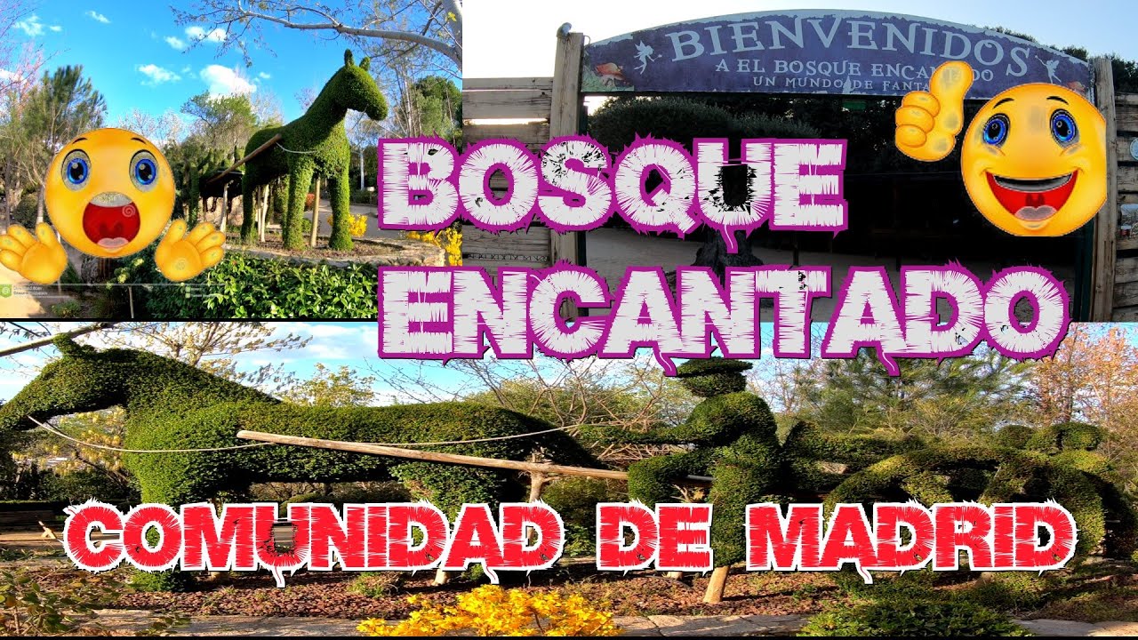 Paseando por El Bosque Encantado | Jardin botanico en San Martin de Valdeiglesias , Madrid | 4K |