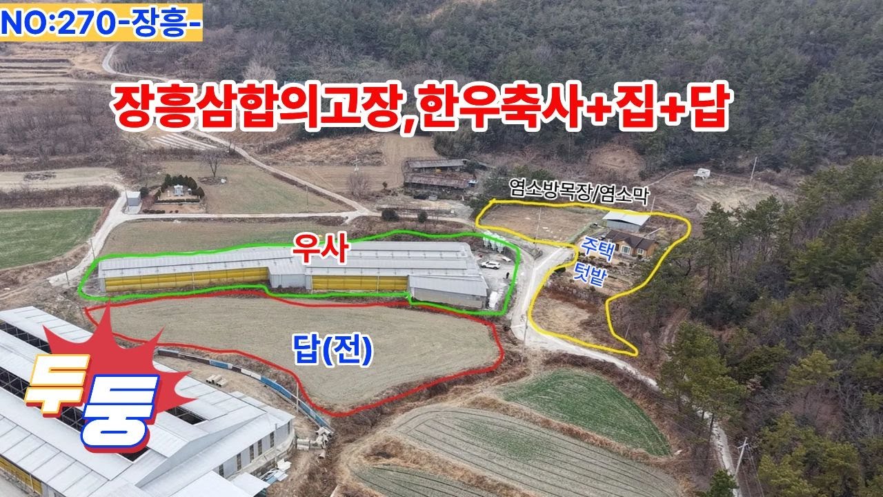 NO270-장흥-천관산이있는 장흥 민원 없는 한우축사 | 장흥 대덕읍 축사 490평 + 주택 22평 | 태양광·태양열 완비 | 매매 5억9천