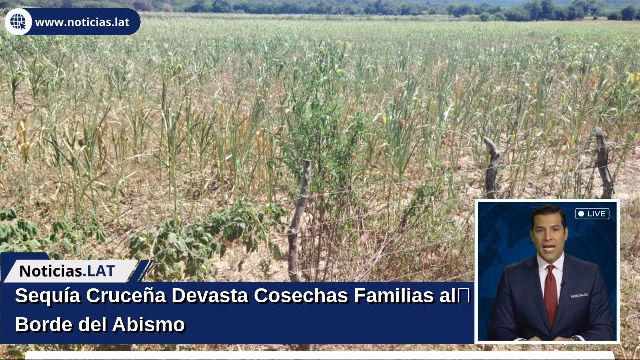 Sequía Cruceña Devasta Cosechas: Familias al Borde del Abismo
