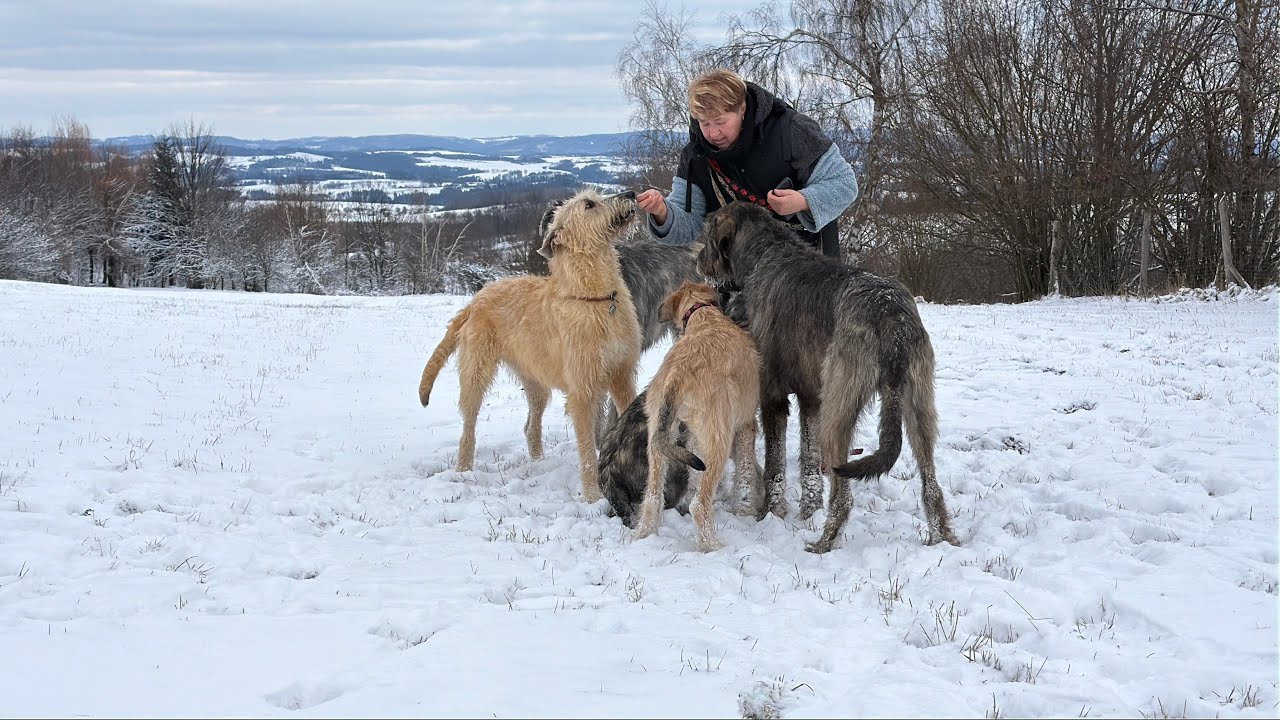 SURYCAN. MLÁDEŽ M 15.2.2026