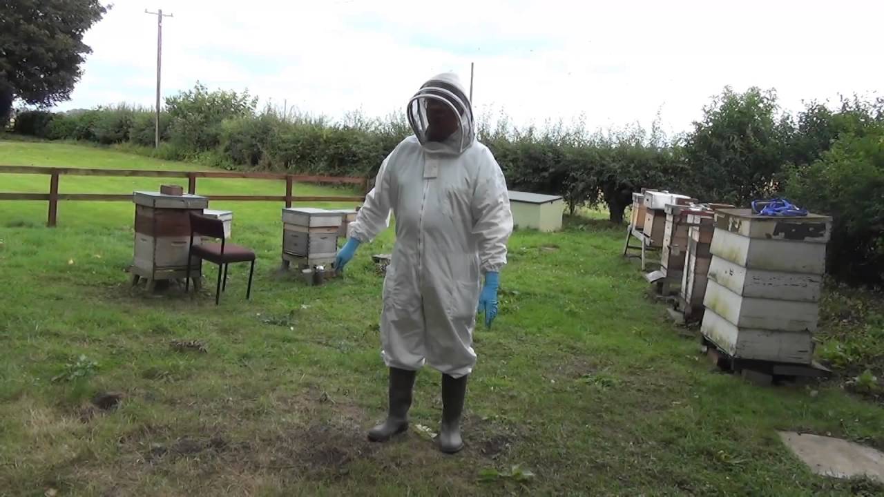 5. Where should you put a new apiary for honeybees?