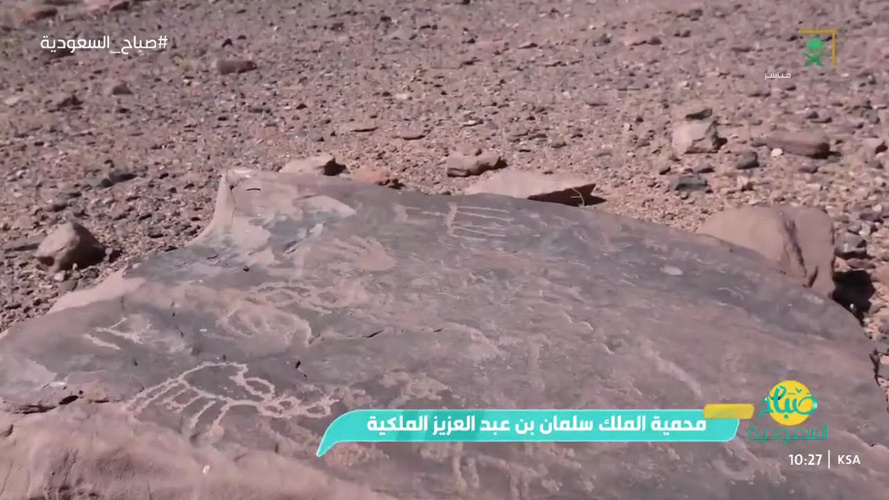 محمية الملك سلمان بن عبدالعزيز الملكية.. الأكبر في المملكة من المحميات الملكية