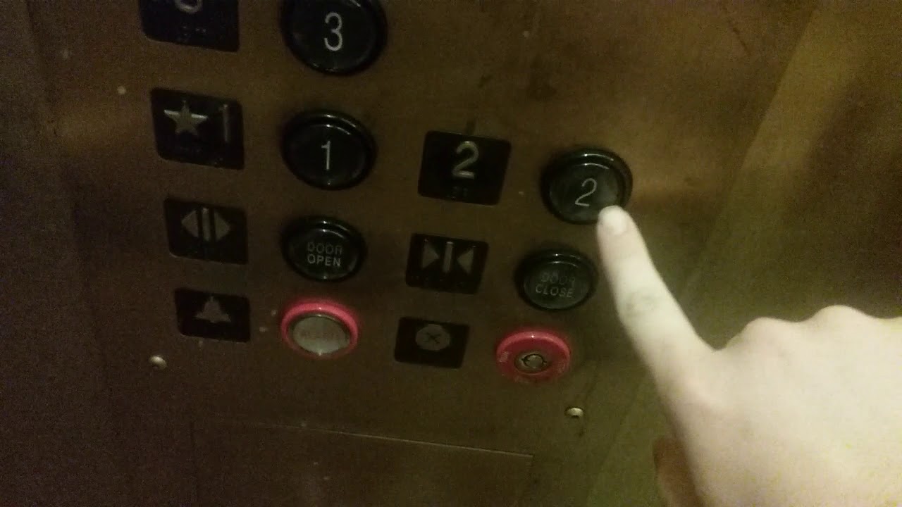 International Elevator at Dillard's at International Plaza in Tampa, FL