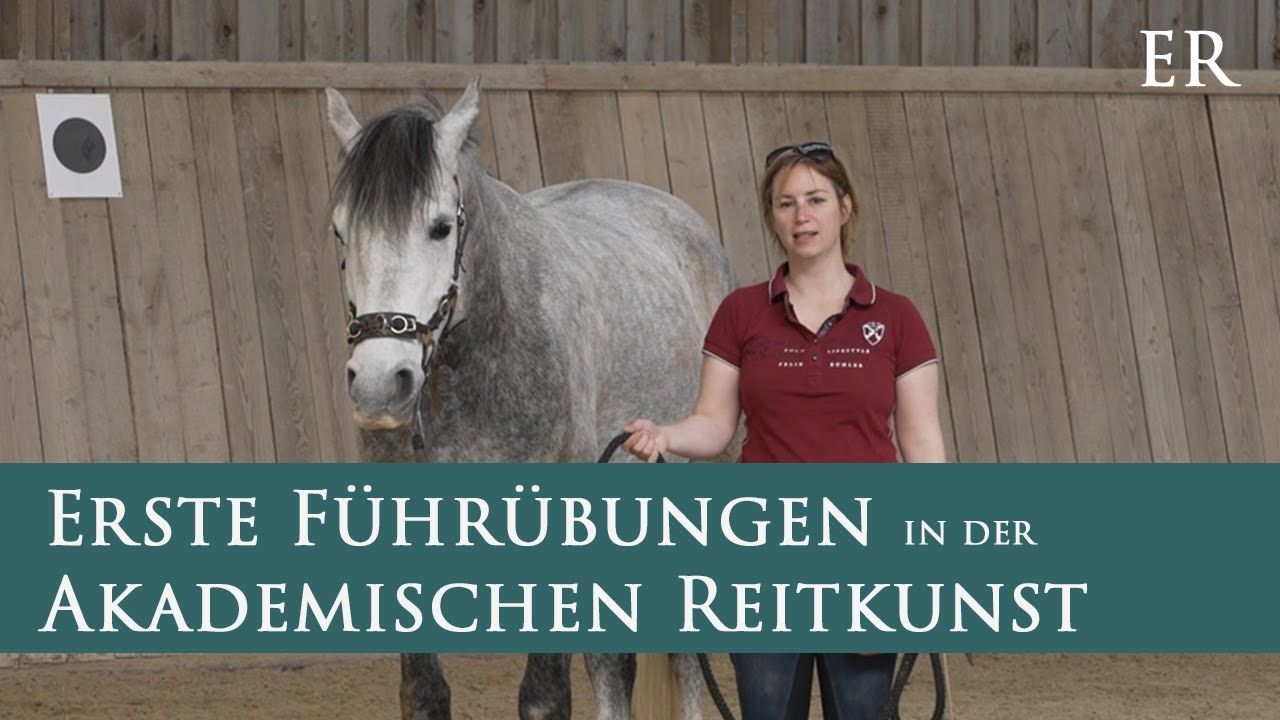 Erste F&uuml;hr&uuml;bungen in der Akademischen Reitkunst