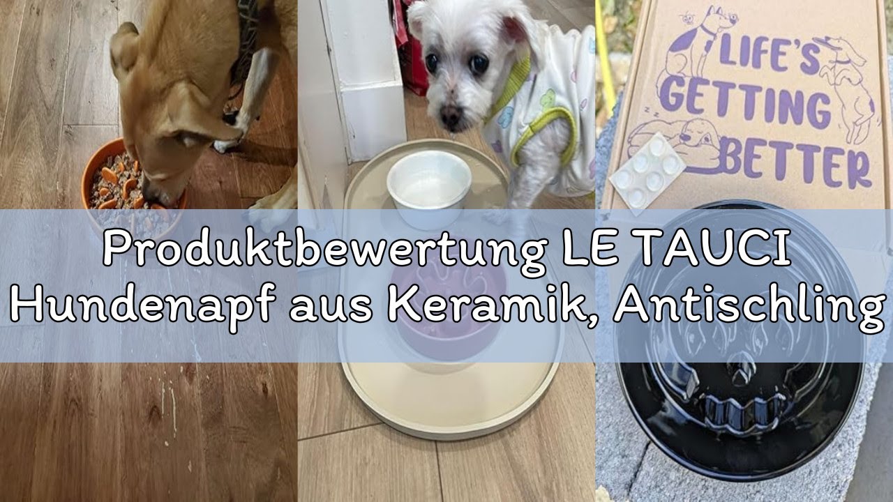 Produktbewertung LE TAUCI Hundenapf aus Keramik, Antischlingnapf für Mittelgroße und Kleine Hunde, L