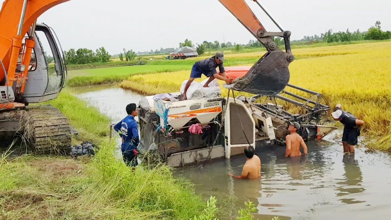 CẢNH XE CUỐC GIẢI CỨU MÁY CẮT LÚA KUBOTA DC70 BỊ SỤP CẦU KHI QUA VUÔNG TÔM