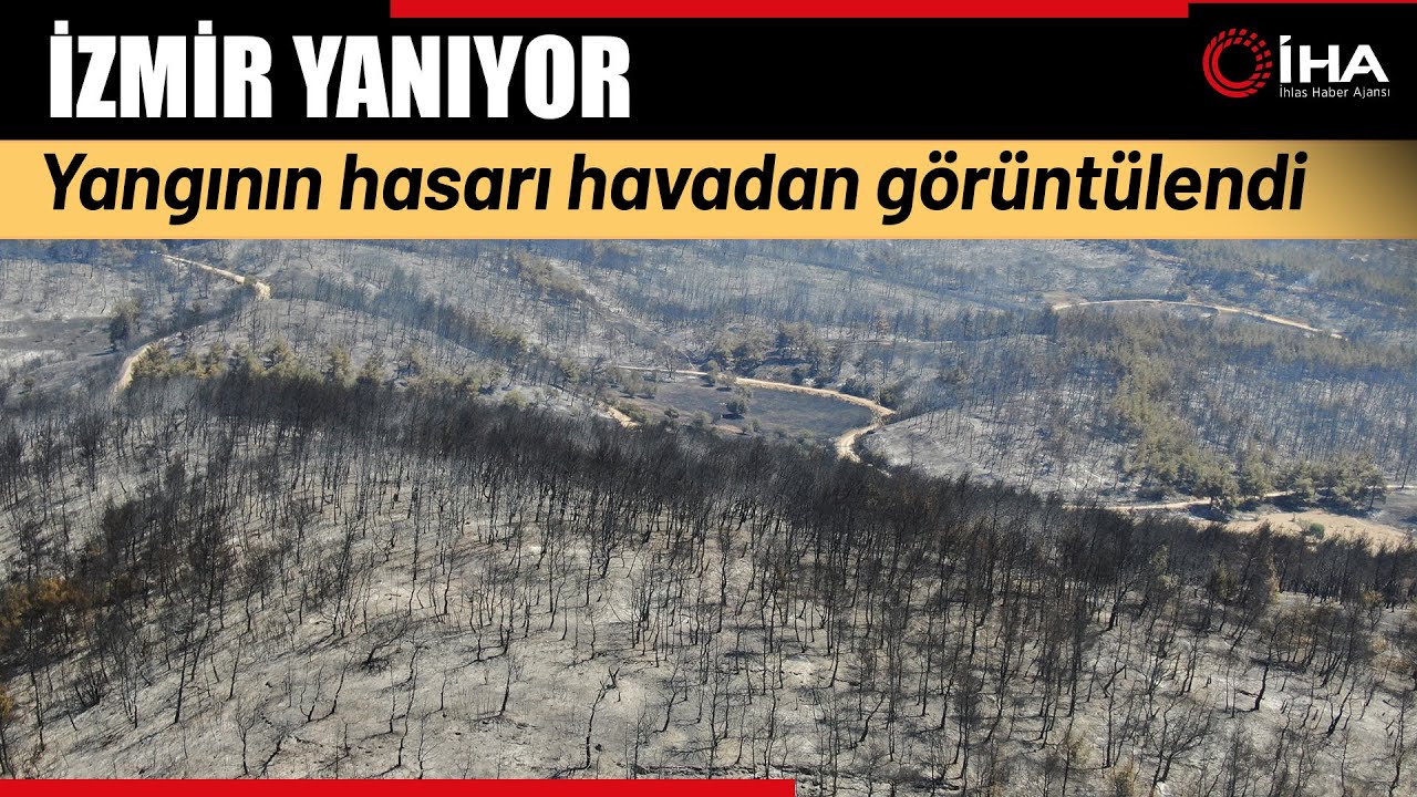 Yangında Ağılları Yanan Vatandaşlar Korku Dolu Anları Anlattı
