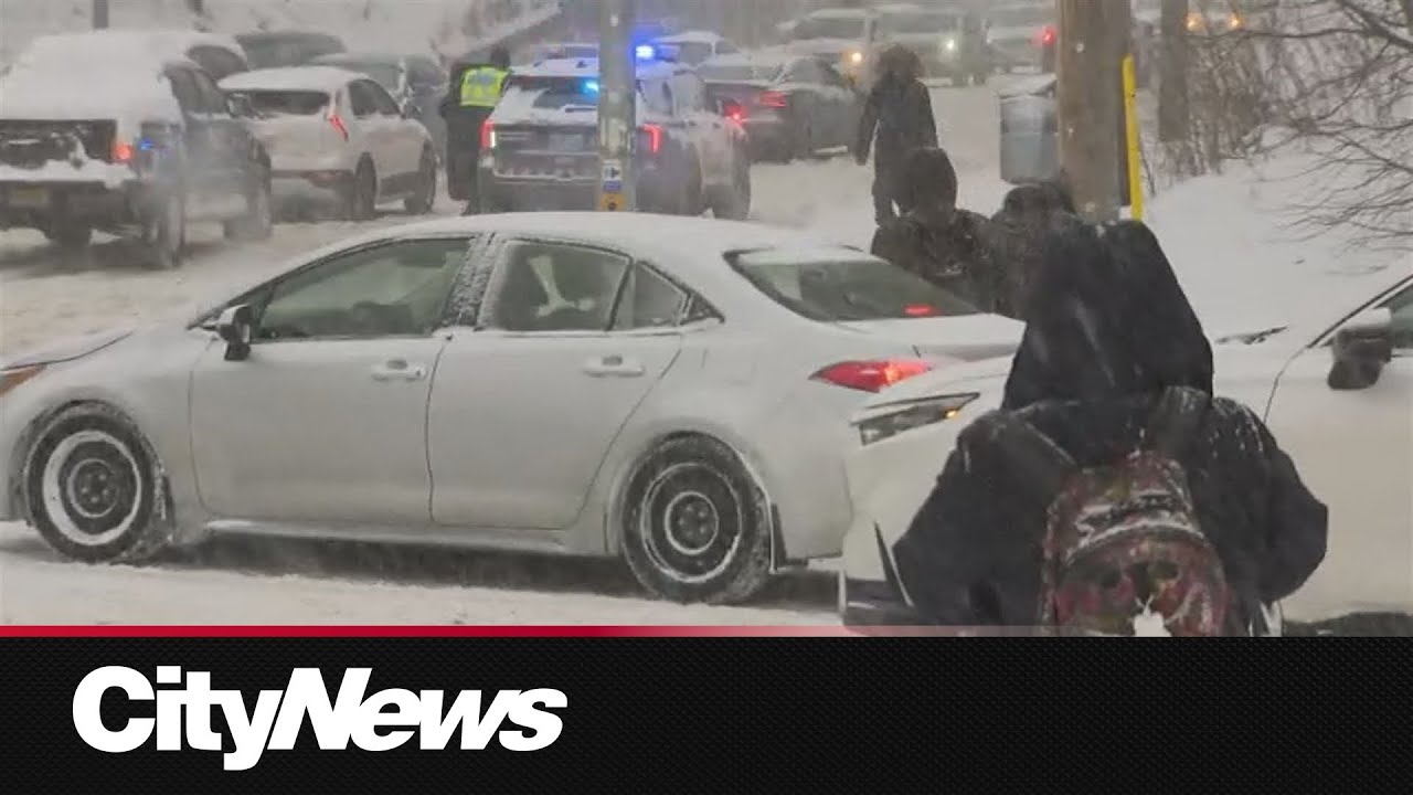 GTA snow storm: Commuters trek through severe weather