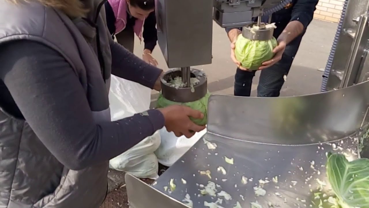 Cabbage shredding and coring machine