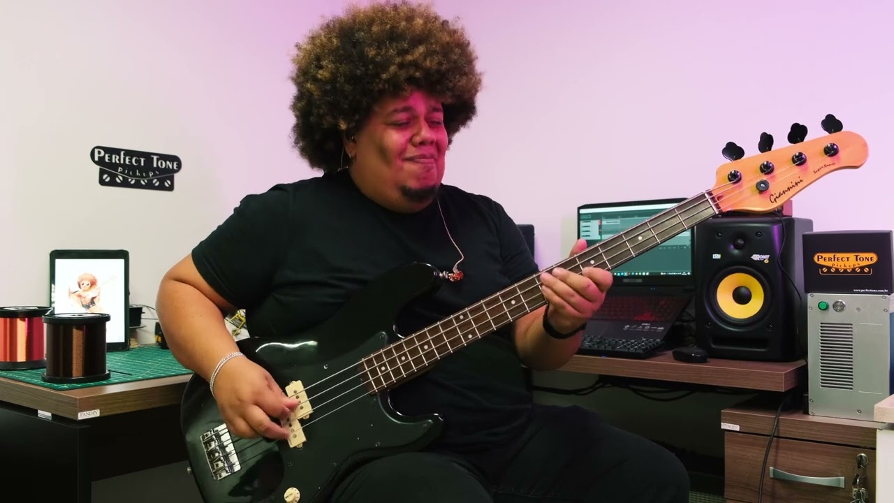 Precision Bass Perfect Tone Pickups