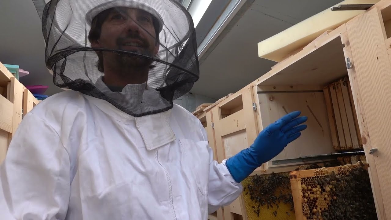 Mitja explained role of type of empty combs to stimulate queen for laying eggs.