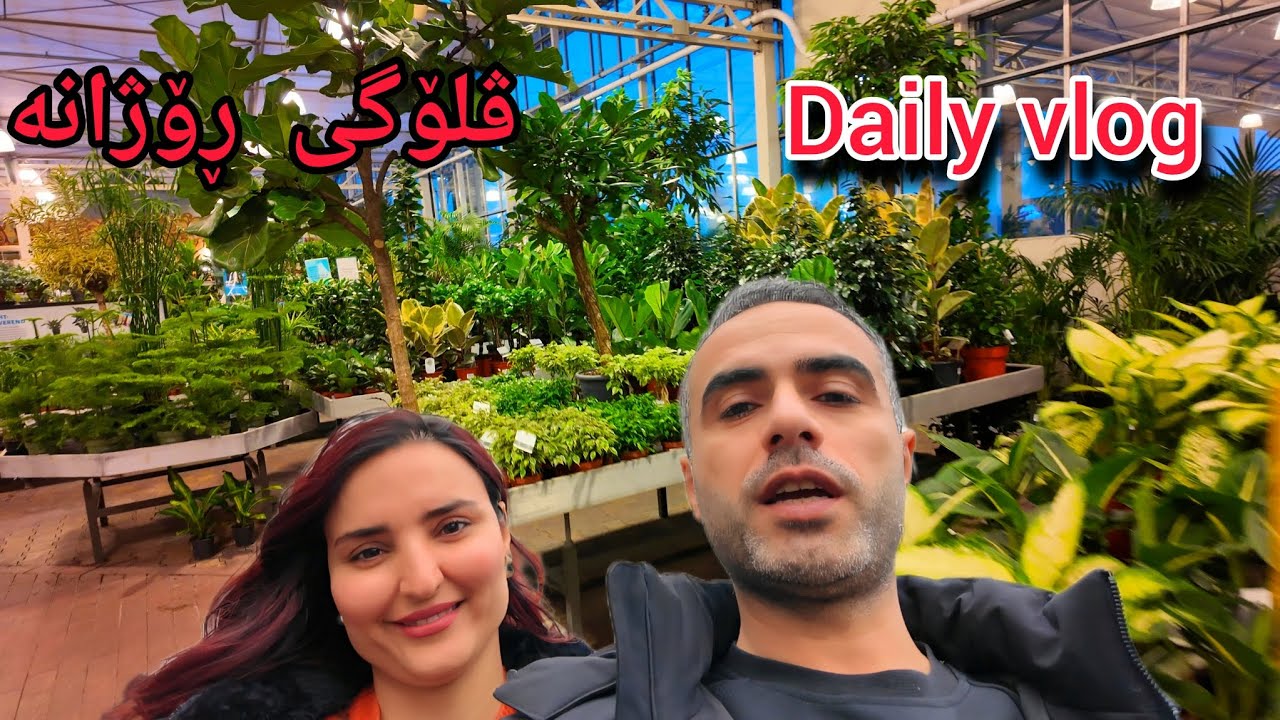 ڤلۆگی ڕۆژانە لە دەم دەمانی  کریسمس ....