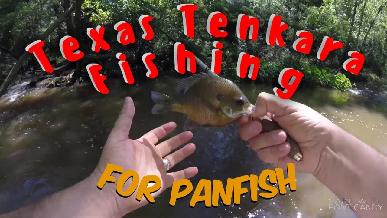 TEXAS TENKARA  Fishing for Panfish #Tenkara #テンカラ釣り