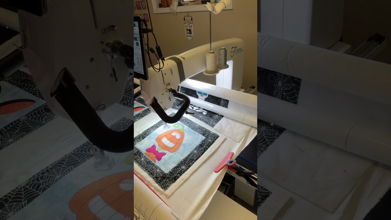  Pro Stitcher -using Trim Block and Trace Area to longarm custom quilt 