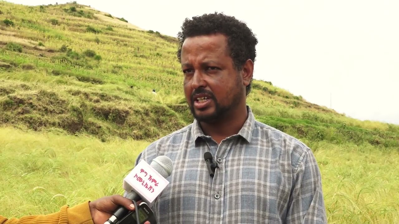 በማዕከሉ እየበለፀጉ የሚቀርቡ የሰብል ዝርያዎች እና የዋግ ኽምራ መሬት ተላምደዋል!