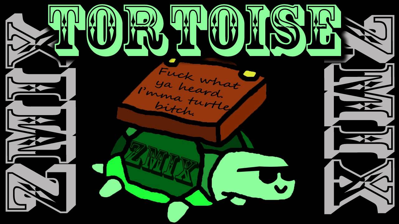ZMiX - Tortoise