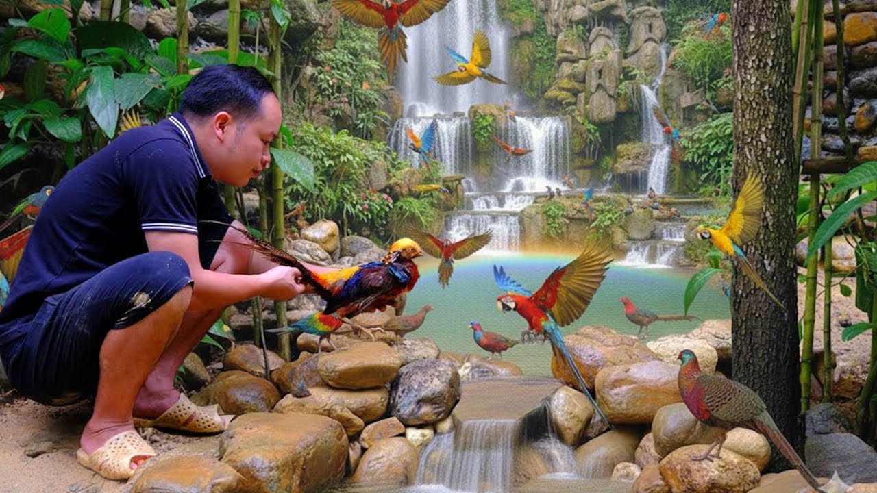 Building a Natural Waterfall in the Aviary | Creating a Peaceful Paradise for Birds