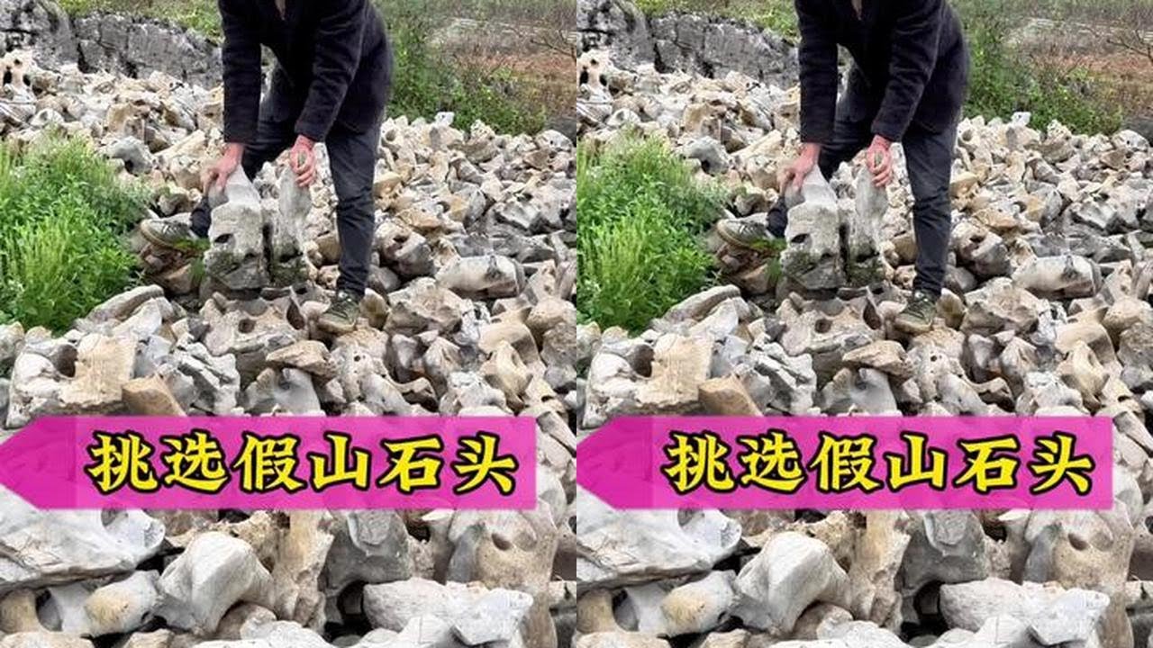 The courtyard hasn't even started yet, but the husband is eager to buy artificial mountain stones