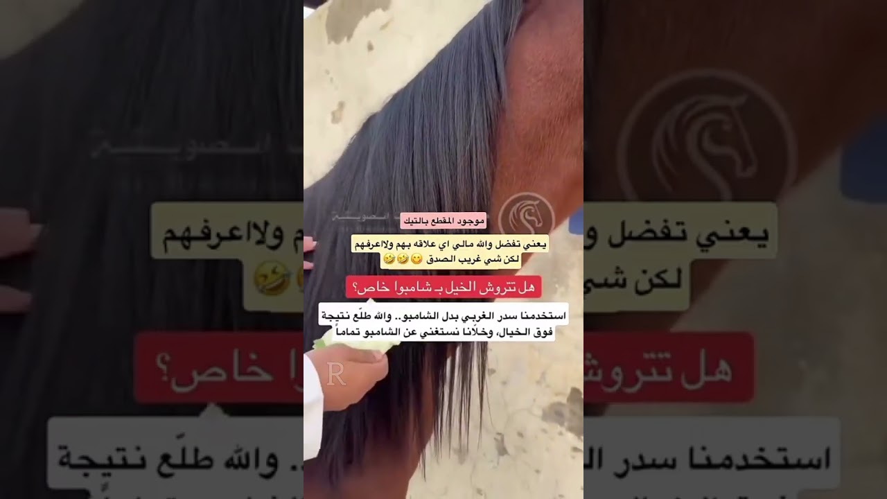 سعود غربي الجزء الثاني ٢٦ يناير 
