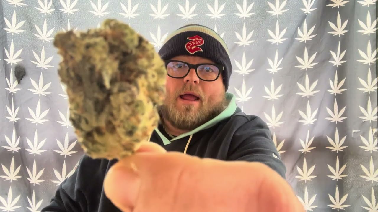 Strawberry Candy Flower Review
