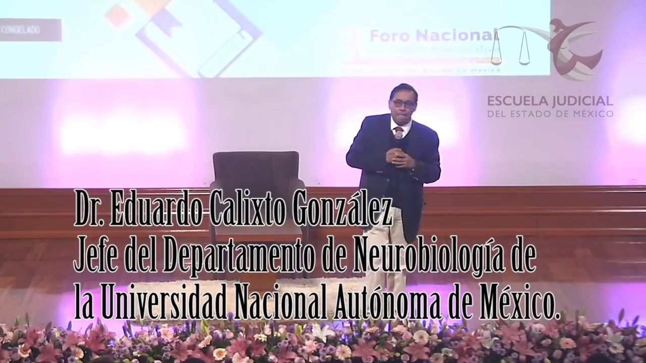 Neurociencia de la Violencia y de la Cotidianeidad