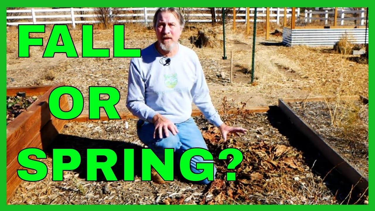 Should You Clean Up Your Garden in Fall?