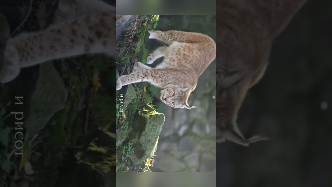 Национален парк Галичица