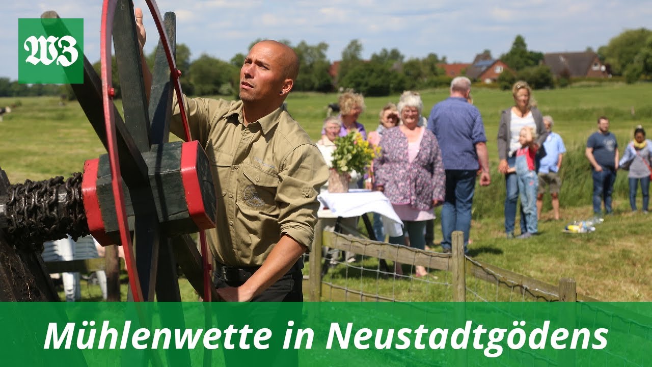 Mühlenwette in Neustadtgödens | Wilhelmshavener Zeitung