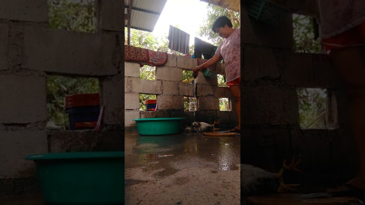 Manok nanitib ulam Nan hapon
