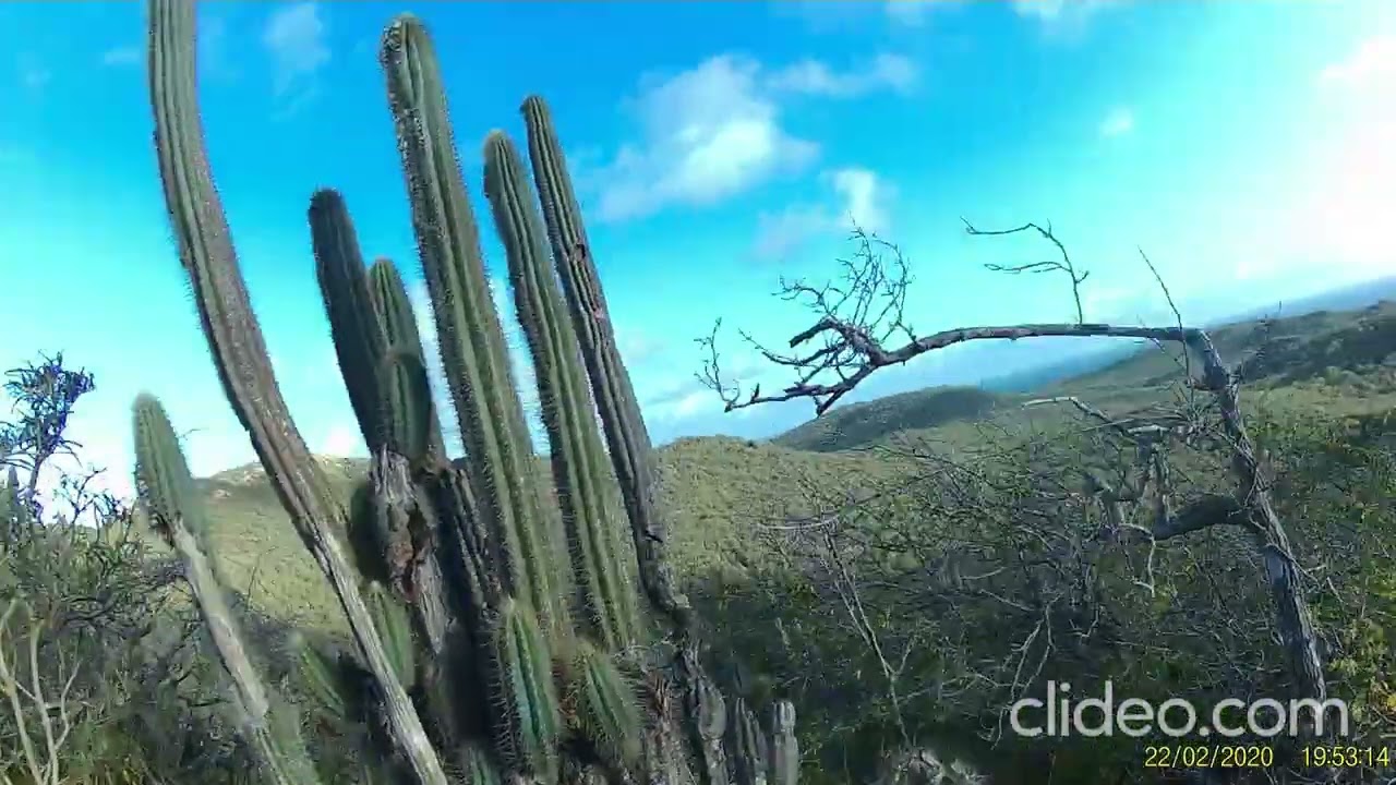 kristofferberg ,Curacao
