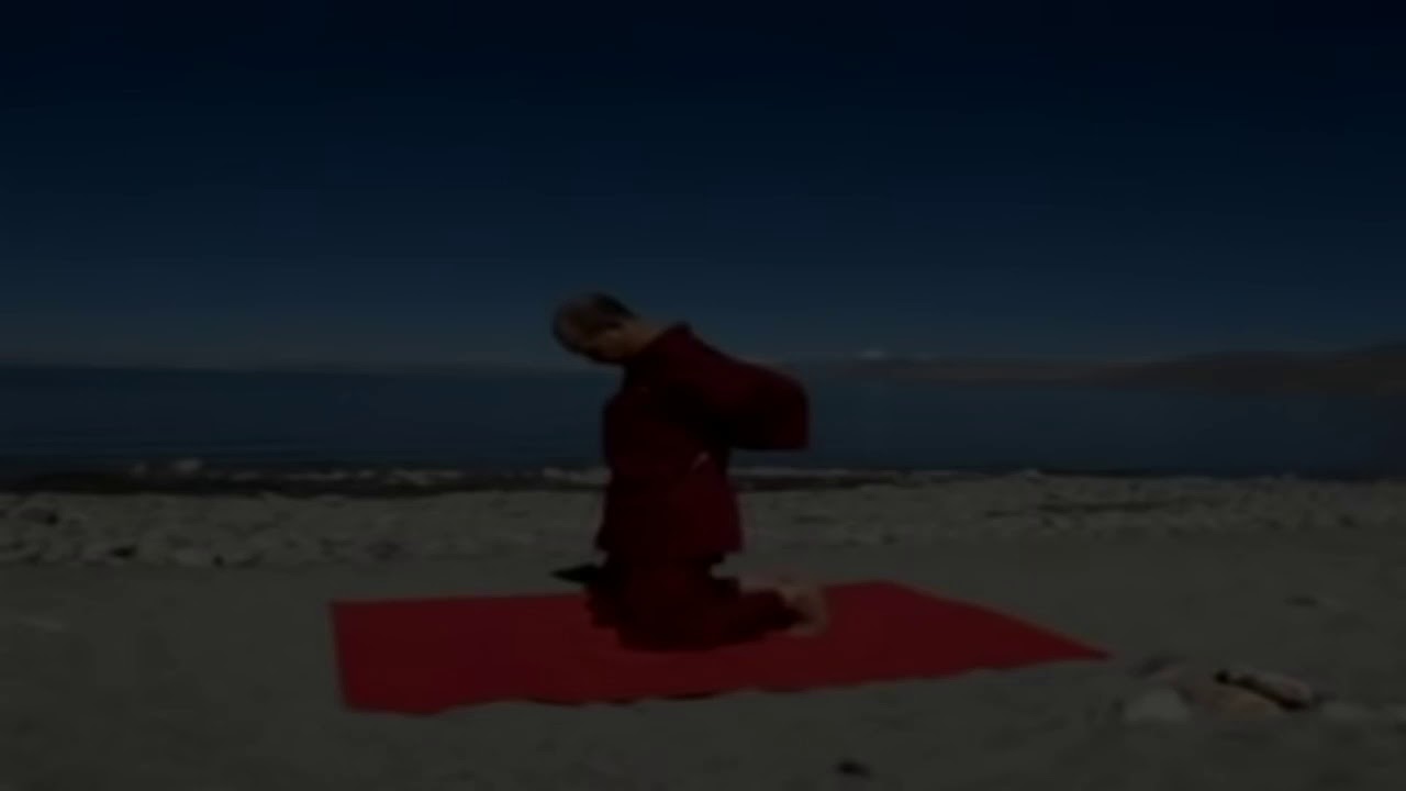 T5T