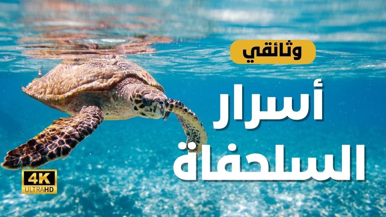 أسرار السلحفاة التي تعيش أكثر من 200 عام! | وثائقي مذهل