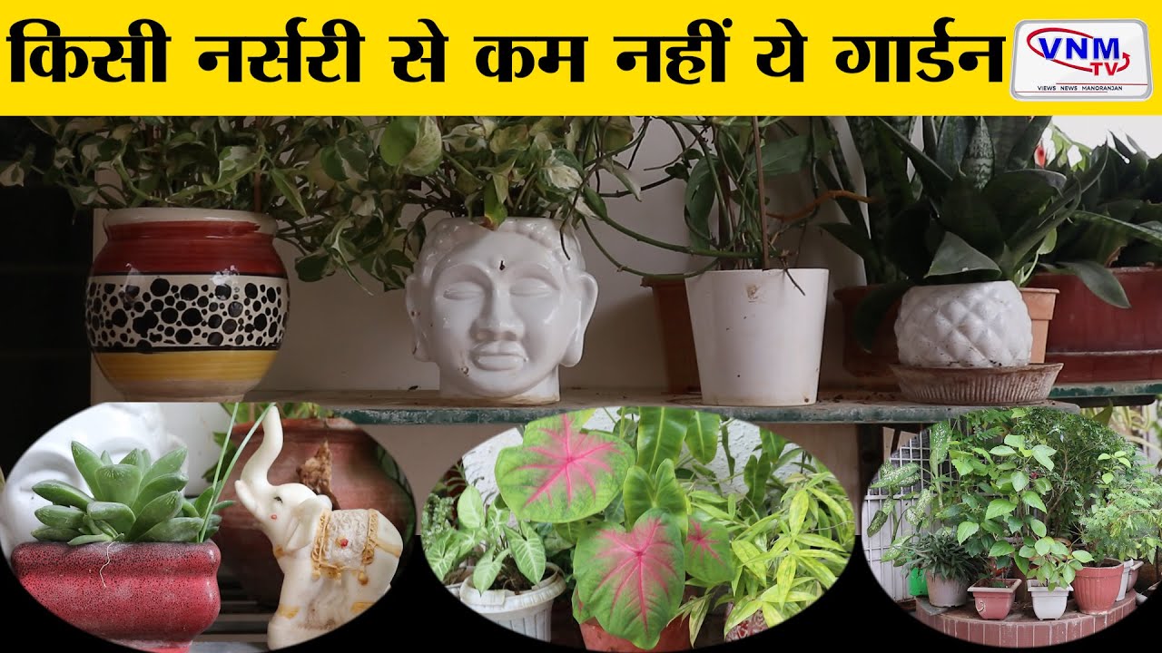 इस गार्डन की हरियाली का क्या है राज I VNMTV