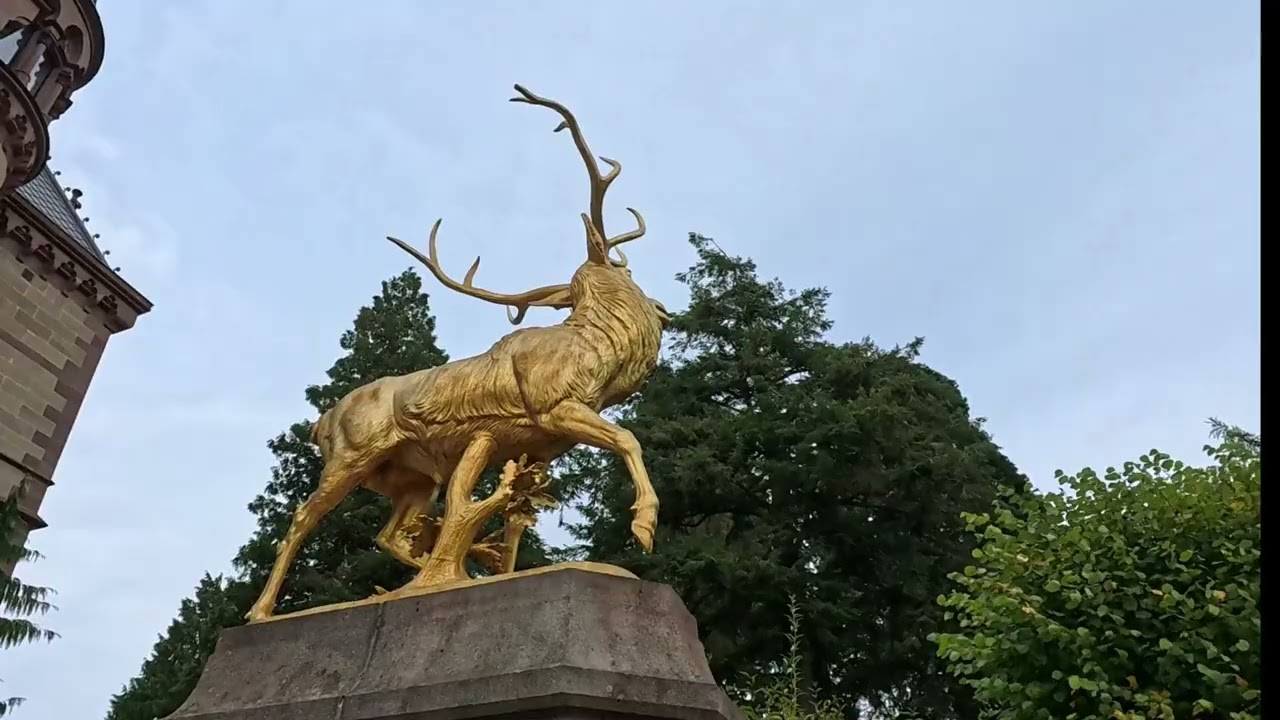 Drachenfels im Oktober 2024