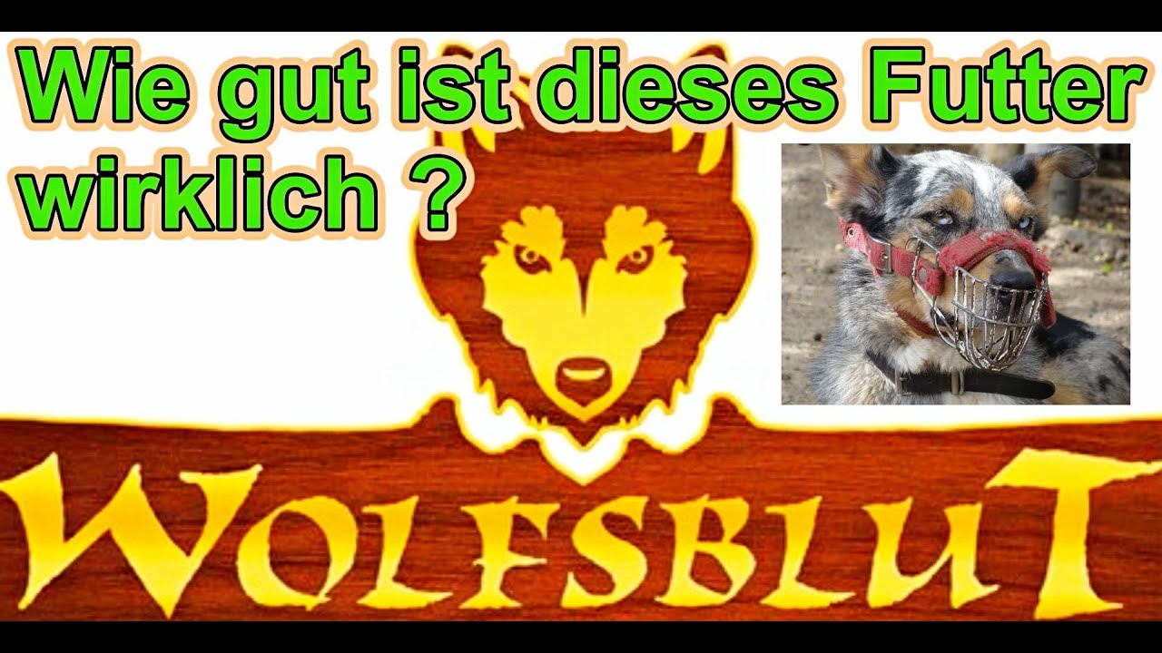 Wolfsblut Hundefutter - Wie gut ist das ? / Hundefutter Test / Hundeernährung / Nature Trails