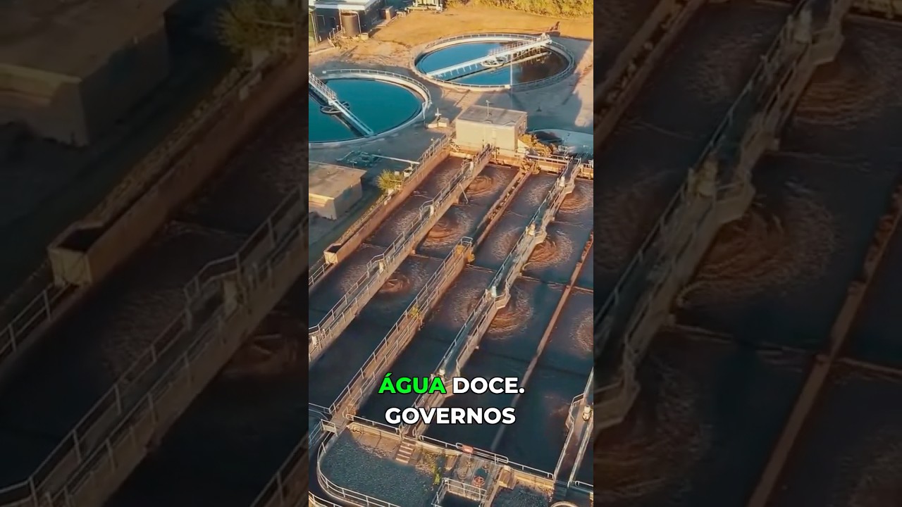 A Verdade por Tr&aacute;s do Apocalipse: Por Que o Oceano Importa