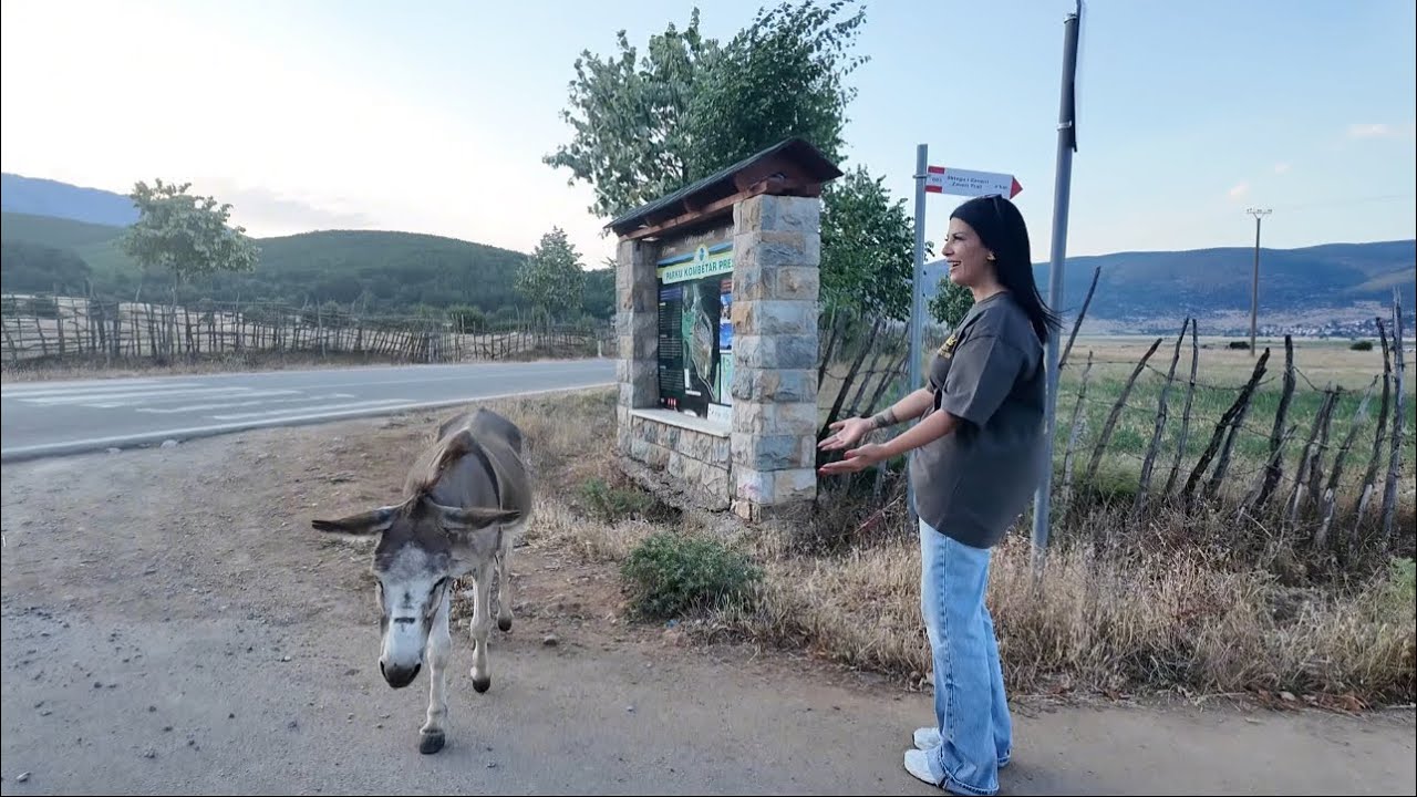 “Këtu ka gomerë më shumë se njerëz”. Për cilin fshat bëhet fjalë?