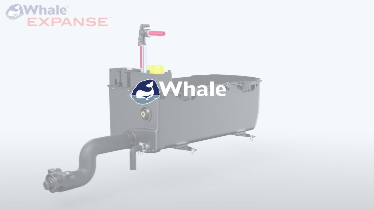 Whale Expanse