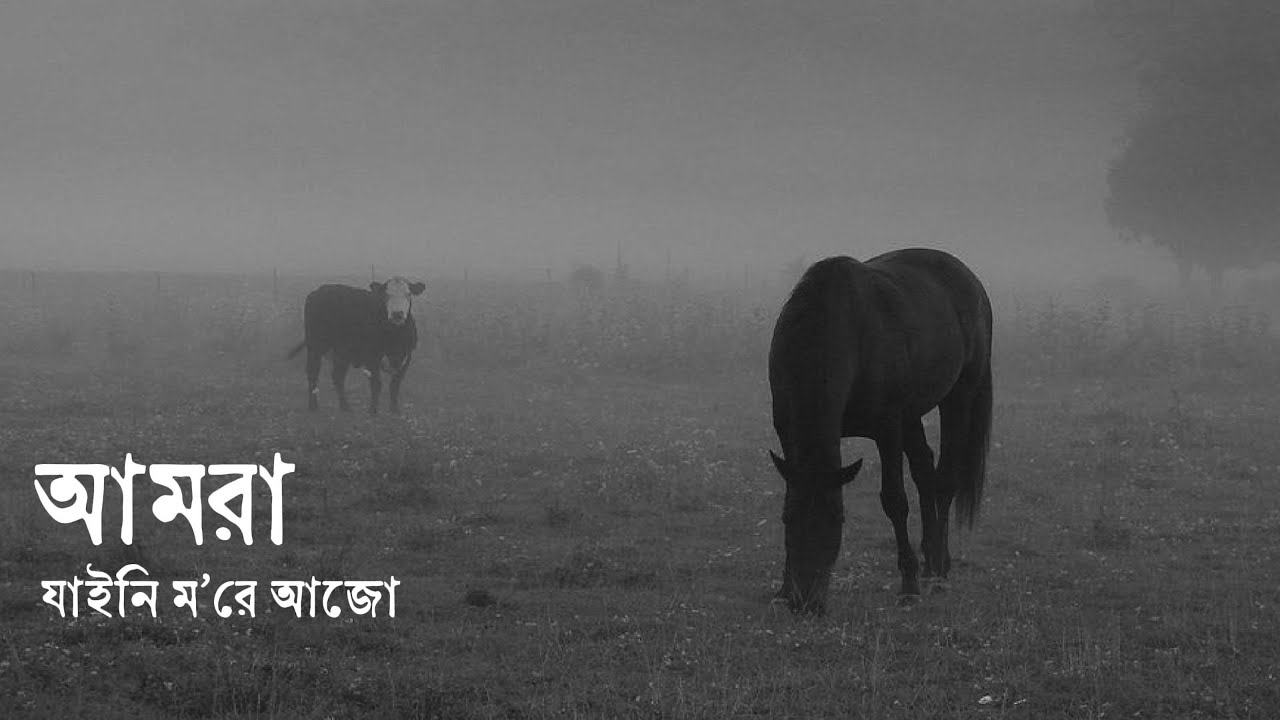 ঘোড়া - জীবনানন্দ দাশ • নিওলিথ || ইমরান রানা ||