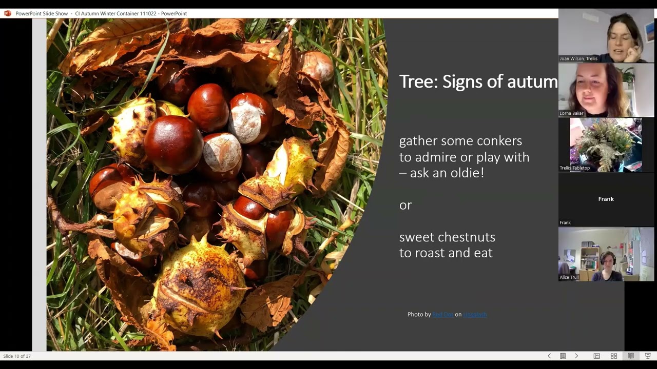 Live Demo Seasonal Container Display   Replant